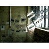 Homeless Gallery