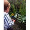 2013 | DIY Community Allotment | Grow to sell