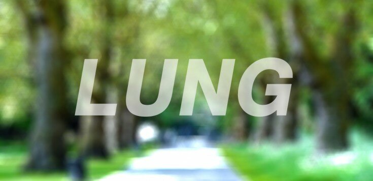 LUNG V4