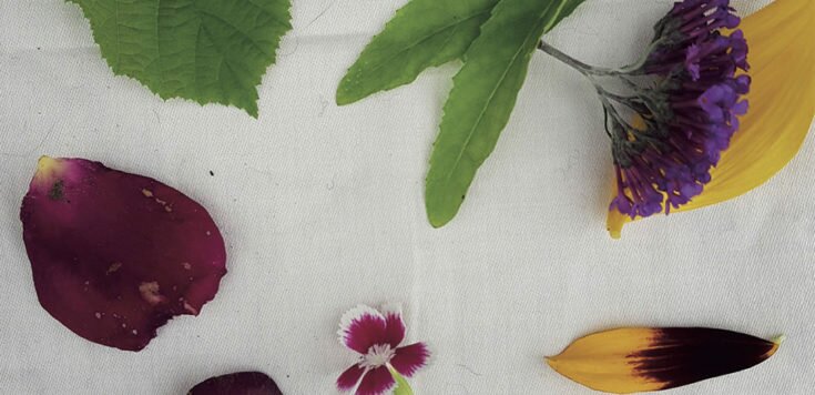 A selection of different colour flowers and leaves laid out on a white cotton napkin.