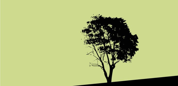 A black silhouette of a tree on a green background.